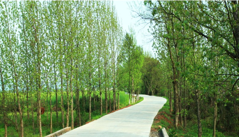 江西信豐縣工業(yè)園科之光路（緯二路）新建大道、產(chǎn)業(yè)大道北段一期工程設(shè)計(jì)、施工總承包（EPC）
